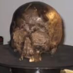 Scientists found a 2,600-year-old brain inside an Iron Age skull and it was still intact |