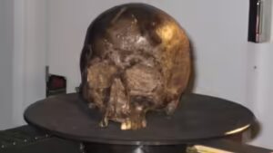 Scientists found a 2,600-year-old brain inside an Iron Age skull and it was still intact |