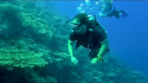 Rahul Gandhi Scuba Dives in Great Nicobar, Raises Alarm Over Environmental Impact of Mega Project | India News