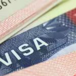 Immigration attorney provides new update on Texas driver’s license row, says it’s a trap for H-1B, H-4, F1 visa holders