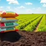 UK farms set to trial fertiliser invented by two PIOs