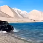 Thar off-roading in Pangong, Fortuner chasing gazelle in Changthang: 4 tourists fined Rs 50,000 each for 1st time in Ladakh | Srinagar News