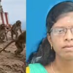 After monkey scare, newlywed woman dies after falling from temple hill in Tamil Nadu | Chennai News
