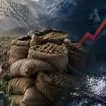 Afghanistan: The Taliban’s Trojan horse: What really happened after Afghanistan’s opium ban