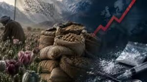 Afghanistan: The Taliban’s Trojan horse: What really happened after Afghanistan’s opium ban