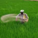 15 India-bound ships carrying urea, DAP and sulphur cross Hormuz: Govt