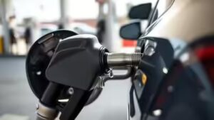 ‘No such proposal for exporting E20 petrol’: Centre dismisses Bhutan E20 rejection claims