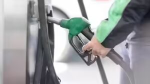 E20 debate explained: Mileage loss, engine concerns and what’s next | India News