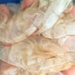 Scientists in Singapore have found a way to transform shrimp shell waste into ‘carbon-negative’ hydrogen fuel, turning biomass waste into valuable climate solutions