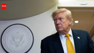 Trump fires US election commission, raising suspicion of rigging
