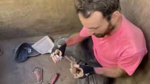 Alaska: Scientists find that humans and dogs have such a friendly relationship because early ancestors fed salmon to canines 12,000 years ago