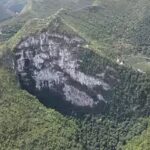 China’s giant sinkholes are protecting an endangered magnolia tree, but they may also be trapping its future