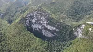 China’s giant sinkholes are protecting an endangered magnolia tree, but they may also be trapping its future