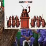 One post, 6 words, 37 days, one resignation: How ‘cockroaches’ crawled into corridors of power | Delhi News