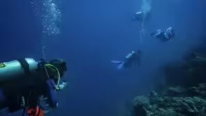 Most scuba divers believed they rarely touched reefs; underwater observers found more than 40% of contacts caused visible damage
