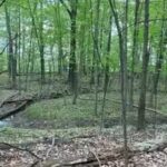 A Michigan woman owns 19 acres between two planned Toll Brothers communities; she is suing over her only access route and a proposed wastewater discharge
