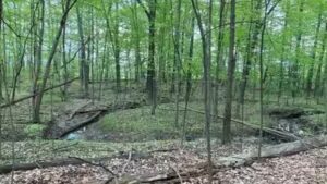A Michigan woman owns 19 acres between two planned Toll Brothers communities; she is suing over her only access route and a proposed wastewater discharge
