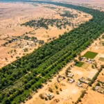 After the Great Wall of China, Africa is building an 8,000-km ‘Wall of Trees’ to fight climate change, restore land and feed millions |