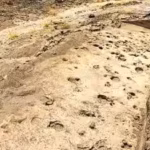 Ancient footprints found in Kenya reveal how early human relatives may have travelled and lived together 1.43 million years ago | World News