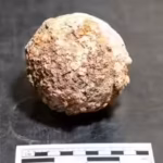 Archaeologists find another 190-year-old cannonball from the 1836 Battle of the Alamo, may have been used by Texan forces