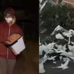 Australia’s mysterious ‘Birdman’ has spent two years feeding birds in the middle of the night, leaving the neighbourhood plagued by a daily ‘poo explosion’ | World News