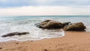 Best proverb of the day: ‘The ocean keeps every secret, but charges salt for storage’, and every hidden truth returns altered by time and chemistry