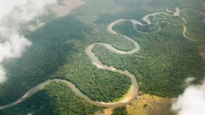 Congo River: Congo River releases 40,000 cubic metres of freshwater into the Atlantic every second. Scientists trace where it goes
