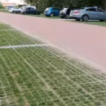 Dutch cities are replacing solid concrete surfaces with grass-filled paving blocks that absorb rainwater and help keep urban areas cooler |