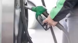 E20 costlier to produce than pure petrol: Government