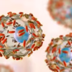 Explosive stomach infection hits US, how the parasite Cyclospora makes people unwell and what researchers know so far about its source
