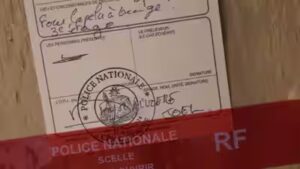 Remains of five infants found in French couple’s home; partner made discovery