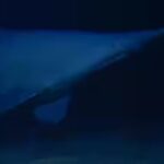 Scientists have filmed a rare 125-million-year-old goblin shark alive in its natural deep-sea habitat for the first time, revealing a new depth record and a wider Pacific range