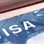 Setback for Trump: US appeals court refuses to revive $100,000 H-1B visa fee
