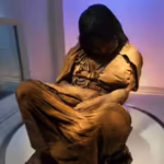 In 1999, archaeologists found a teenage Inca girl frozen on a 6,739-metre volcano, where she had remained untouched for more than 500 years | World News
