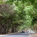 India likely to get greener despite climate change: IITM study | Pune News