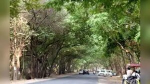 India likely to get greener despite climate change: IITM study | Pune News