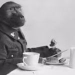 Meet Corporal Jackie: The South African baboon who served alongside soldiers during the First World War and became a war hero | World News