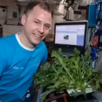 NASA has grown plants in space for years: New research says the next step is growing medicines, starting with a tobacco and a virus
