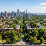 New York spent 8 years planting one million trees. Now the city is aiming for 30% tree cover by 2040 to transform its fight against rising heat | World News