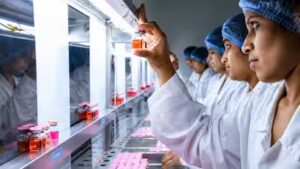 Six BioMissions, Rs 50,000-crore fund and more: Niti Aayog’s roadmap to turn India into $691 billion bioeconomy