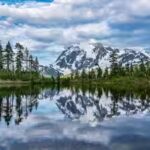 How to protect yourself around dangerous North American wild animals: Essential safety tips for your national park visit | World News