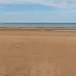 Microscopic Remnants of D-Day: Omaha Beach Still Contains 4% Shrapnel 82 Years Later |