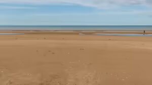 Microscopic Remnants of D-Day: Omaha Beach Still Contains 4% Shrapnel 82 Years Later |