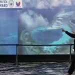 ‘No legal basis’: US, EU and 13 nations reject Beijing’s South China Sea claims