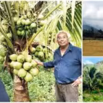 R Madhavan turns barren land into lush coconut farm in Tamil Nadu; 3-year eco-friendly project brings back biodiversity, actor plans expansion across India | Hindi Movie News
