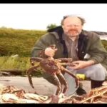 Soviet scientists released red king crabs into the Barents Sea in the 1960s to build a new fishing industry, but decades later, the giant crabs have spread across Russian and Norwegian waters, altering seafloor communities as they feed on native marine life | World News