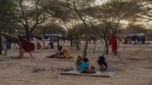 144 dead or missing off Mauritania trying to reach Europe, UN agency says