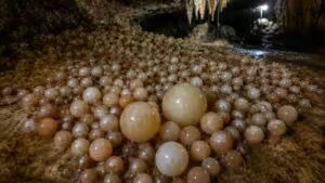 Researchers discover cave with rare cave pearls in Vietnam’s Phong Nha-Ke Bang National Park | World News