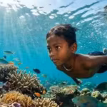Scientists discovered how the Moken sea nomads developed an extraordinary ability to see underwater like dolphins |