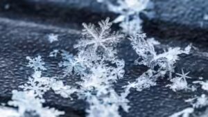 Canadian proverb of the day: ‘No snowflake lands the same twice’ — Even the smallest moments in life never repeat in the same way, no matter how similar they seem
